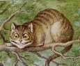 Tenniel Cheshire Cat